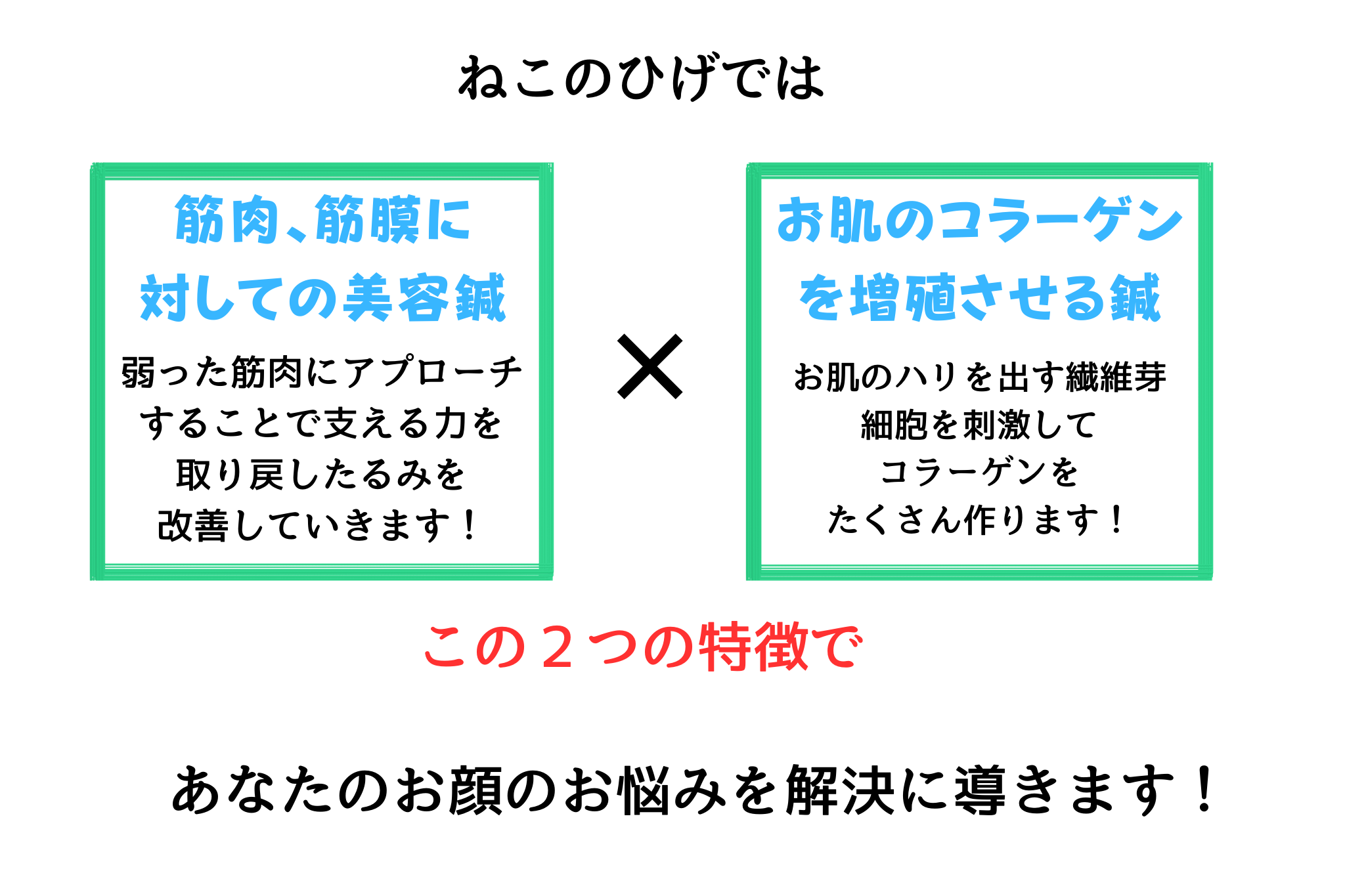 ねこのひげではお顔の筋肉、筋膜に対しての美容鍼と、お肌のシワなどの原因のコラーゲン減少に対しての鍼も行います。 この二つで、お顔のたるみ、ほうれい線、乾燥肌、目のたるみなどを解決していきます。